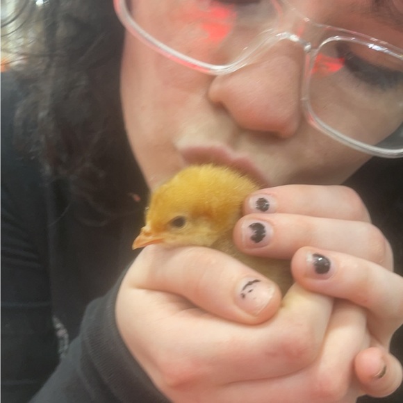 Meet your Posher, Keelin - Picture 1 of 1